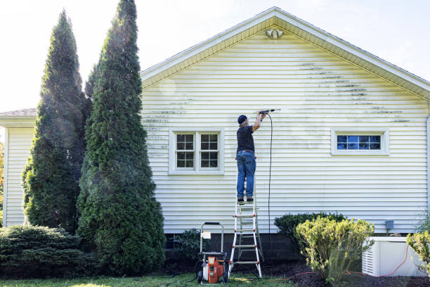 Best Building Exterior Washing  in Rainbow City, AL